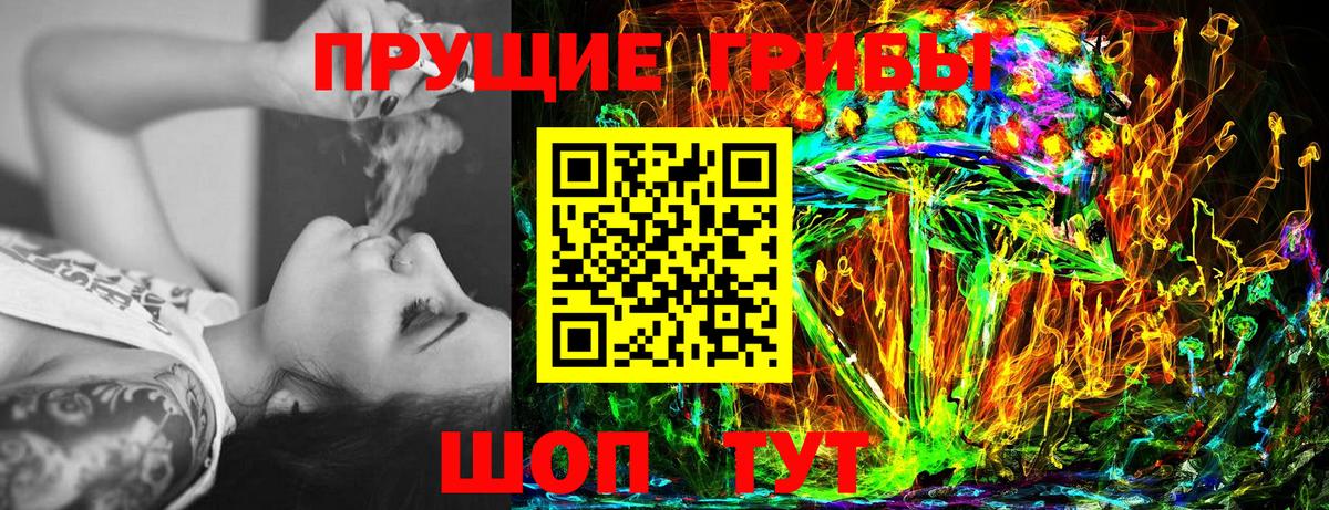 Аксай  купить наркоту  Вход с VPN  Псилоцибиновые грибы Psilocybine cubensis 