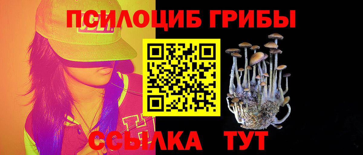Псилоцибиновые грибы прущие грибы Аксай